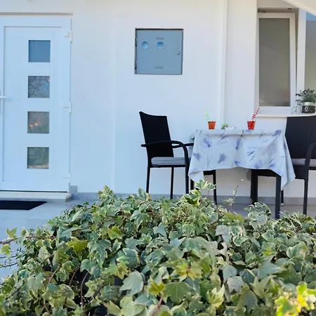 Erika - For 2 Near The