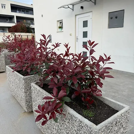 Erika - For 2 Near The * 普拉