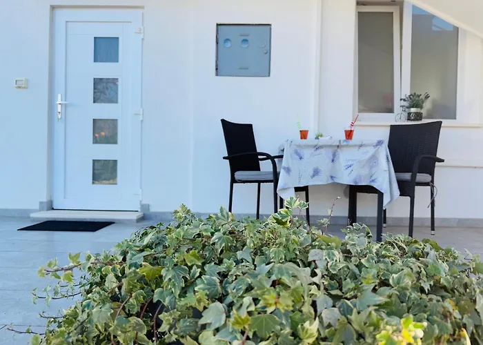 Erika - For 2 Near The